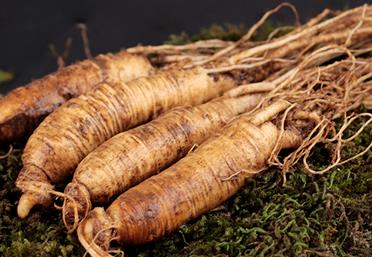 滋補養生產品人參穿“新衣”，舊貌變新顏