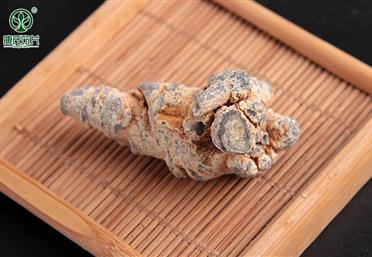 三七頭干度越干越適合打粉，三七頭的干度怎么衡量 - 三七粉代工