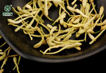 采摘金銀花，并不是采摘下來而已 - 中藥飲片代工