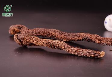 肉蓯蓉切片和打粉哪個好，肉蓯蓉適宜搭配什么一起服用 - 中藥粉代工