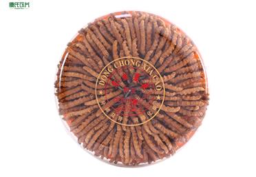 “東方瑰寶”冬蟲夏草，四個步驟教你辨別蟲草品質(zhì)衛(wèi)康旗下康氏中藥飲片西洋參、冬蟲夏草代工、定州、OEM