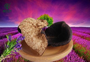 千年人參、百年陳皮，挑選好陳皮除了看年份還須看這些，康氏中藥飲片代工、定制、OEM