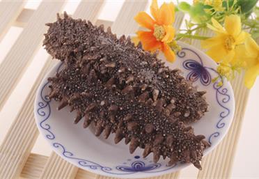 海味珍饈數海參！全家老少食遼參，即食縱享好滋味，康氏中藥飲片代工定制OEM