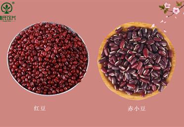 春夏食豆，勝過吃肉！赤小豆和紅豆真的不一樣，康氏中藥飲片代工定制OEM