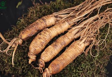 家庭自制人參水，不僅可以喝，還能護膚、養發-康氏中藥飲片代工定制OEM