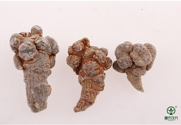 三七干度很重要！教你辨別三七干度的3個小妙招-康氏中藥飲片代工定制OEM